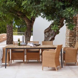 AD-204 Luxury Wicker Dining Set